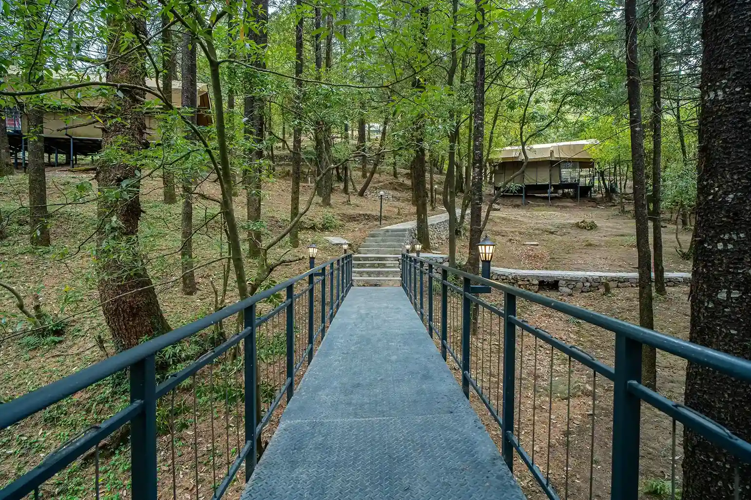 The Surveyor Grand Suite